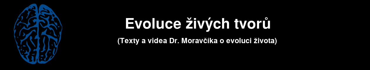 Evoluce živých tvorů a vznik života