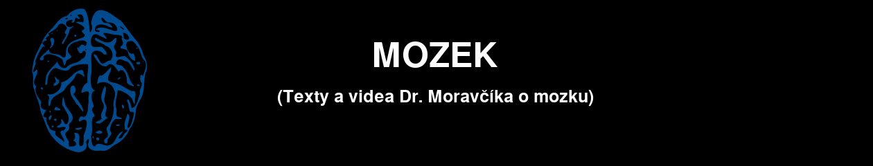 Lidský mozek